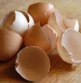 Marroni: An egg-cellent recyclable